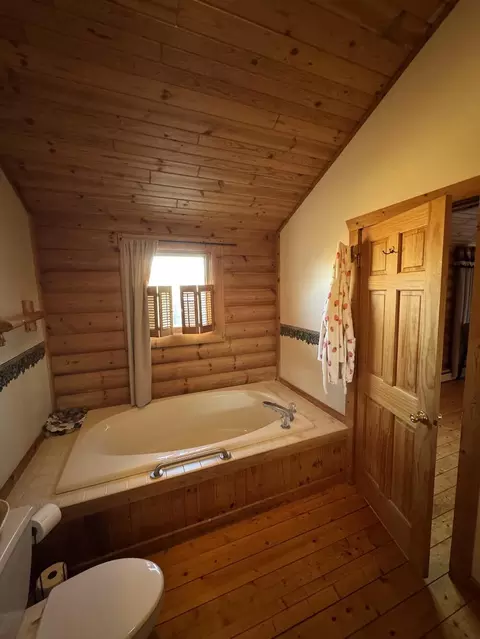 Bath - 4116 Dutcher Rd, Gladwin, MI 48624 photo 4 of 7