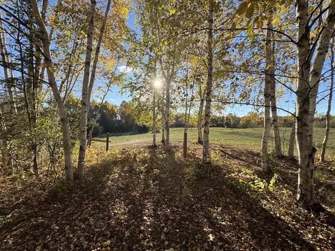 Exterior - 4116 Dutcher Rd, Gladwin, MI 48624 photo 34 of 40