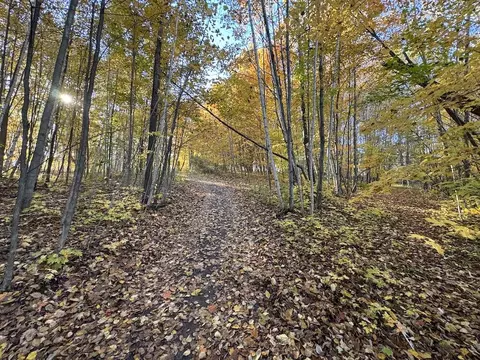 Other - 4116 Dutcher Rd, Gladwin, MI 48624 photo 22 of 45