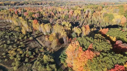 View/Area - 4116 Dutcher Rd, Gladwin, MI 48624 photo 6 of 14
