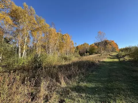 Other - 4116 Dutcher Rd, Gladwin, MI 48624 photo 32 of 45