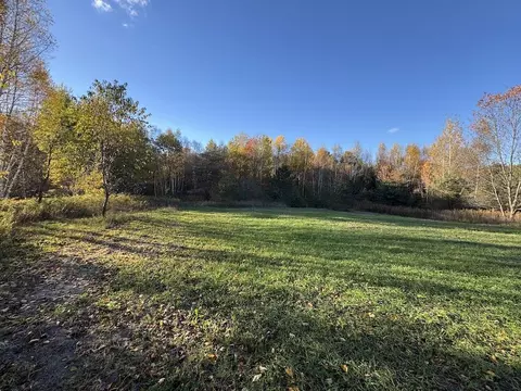 Exterior - 4116 Dutcher Rd, Gladwin, MI 48624 photo 37 of 40