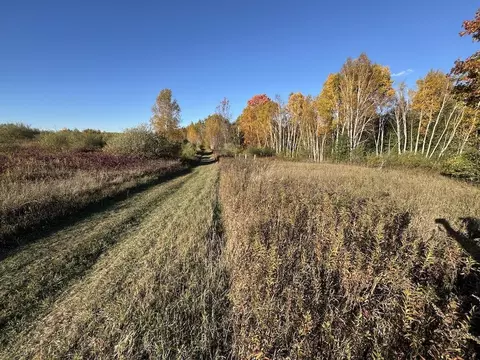 Other - 4116 Dutcher Rd, Gladwin, MI 48624 photo 31 of 45