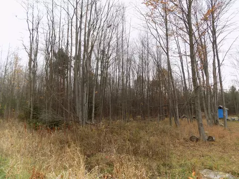 V/l Cr-378, Covert, MI 49043