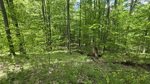 Mcclish Aka Bigge, Copemish, MI 49625