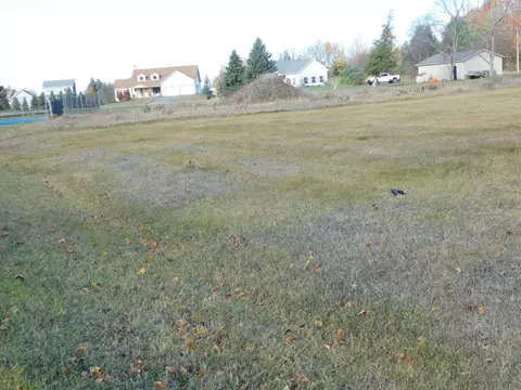 16 Hazel-state St, Arcadia, MI 49613 photo 3