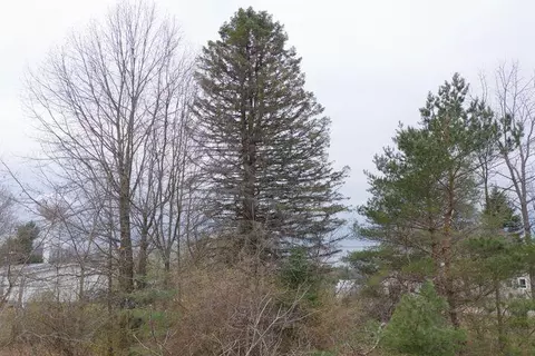 0 Bond St, Harrison, MI 48625 photo 7