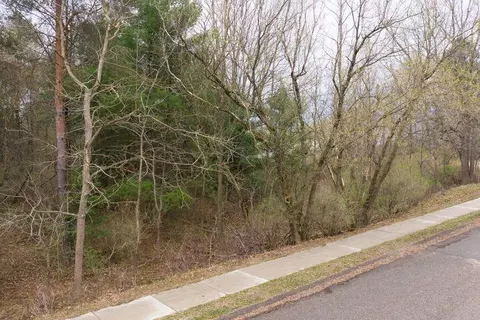 0 Bond St, Harrison, MI 48625 photo 2