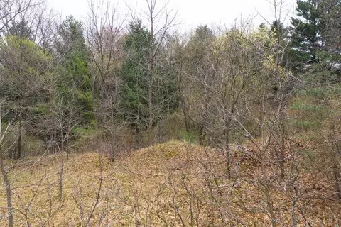 0 Bond St, Harrison, MI 48625 photo 4