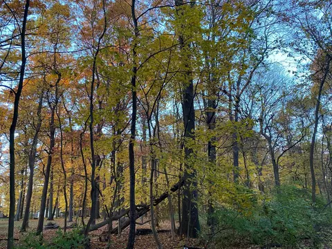 Oak Drive, Three Rivers, MI 49093