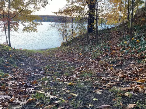 Oak Drive, Three Rivers, MI 49093 photo 10