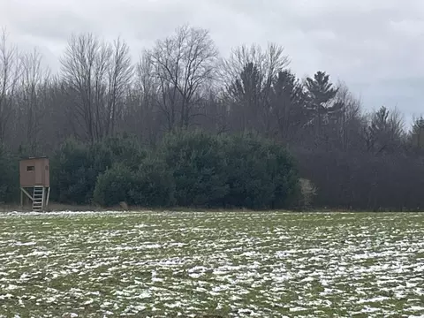 Par A Nimberger Road, Lakeview, MI 48850