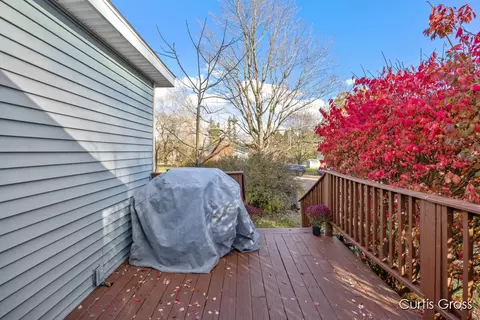 320 Pine St NE, Cedar Springs, MI 49319 photo 33