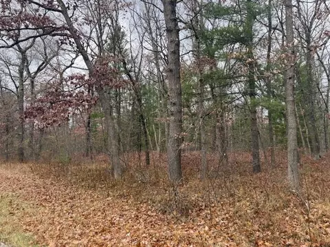 Parcel 2 Cleveland Drive, Bitely, MI 49309