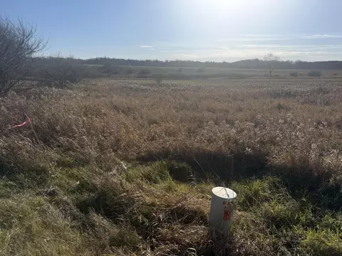 18 Mile Rd, Big Rapids, MI 49307