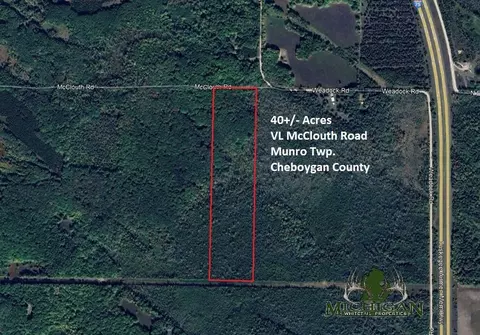 Vl Mcclouth Road, Levering, MI 49755