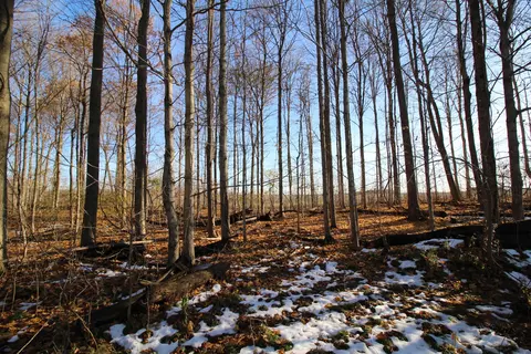 58573 Oak Grove Rd, Cassopolis, MI 49031 photo 7