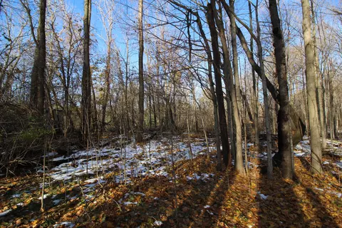 58573 Oak Grove Rd, Cassopolis, MI 49031 photo 10