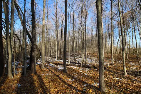 58573 Oak Grove Rd, Cassopolis, MI 49031 photo 9