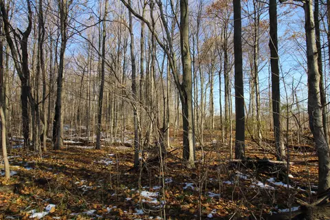 58573 Oak Grove Rd, Cassopolis, MI 49031 photo 6