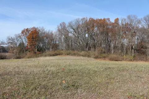 0 Riethmiller Rd, Grass Lake, MI 49240