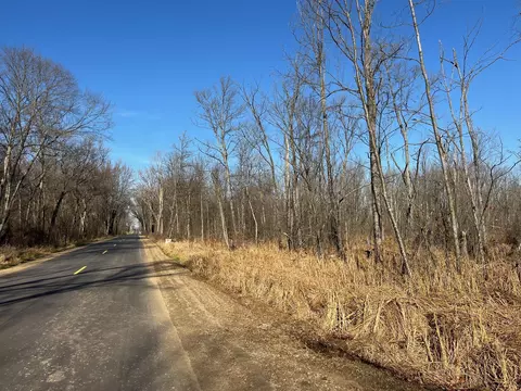 V/l Chamberlain Road, Marcellus, MI 49067