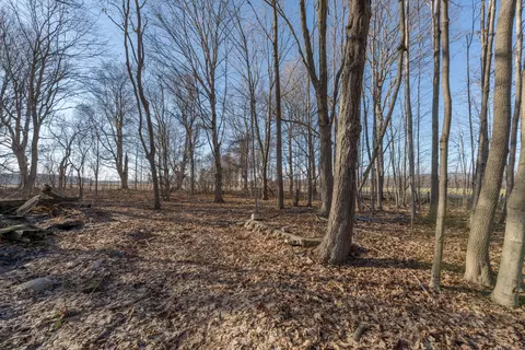 Exterior - 54516 Silver St, Mendon, MI 49072 photo 8 of 8