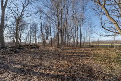Exterior - 54516 Silver St, Mendon, MI 49072 photo 7 of 8