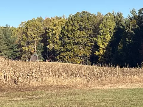 Par A Monroe Road, Lakeview, MI 48850