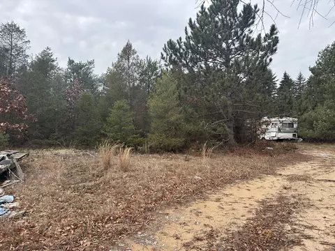 8119 N Sweet Chevy Ln, Bitely, MI 49309