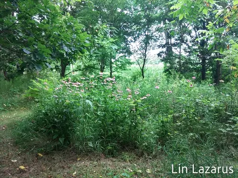 12675 Harder Rd, Three Rivers, MI 49093 photo 61