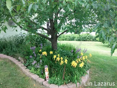 12675 Harder Rd, Three Rivers, MI 49093 photo 47