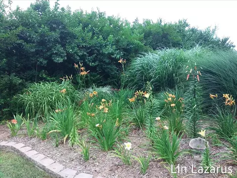12675 Harder Rd, Three Rivers, MI 49093 photo 60