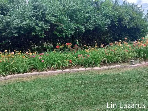 12675 Harder Rd, Three Rivers, MI 49093 photo 49