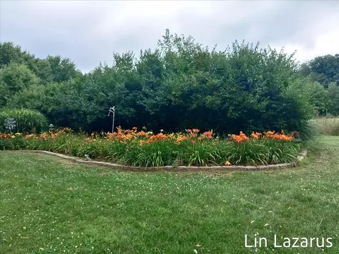 12675 Harder Rd, Three Rivers, MI 49093 photo 56