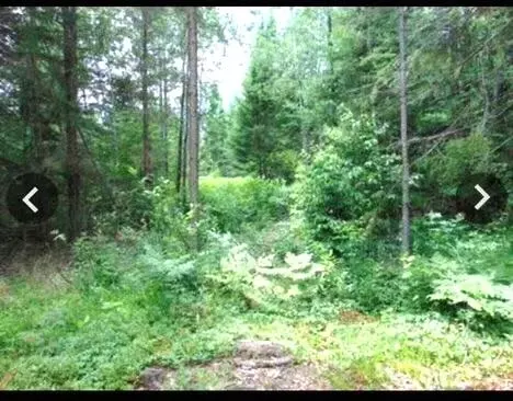 00 S Hendrie River Rd, Hulbert, MI 49748 photo 52