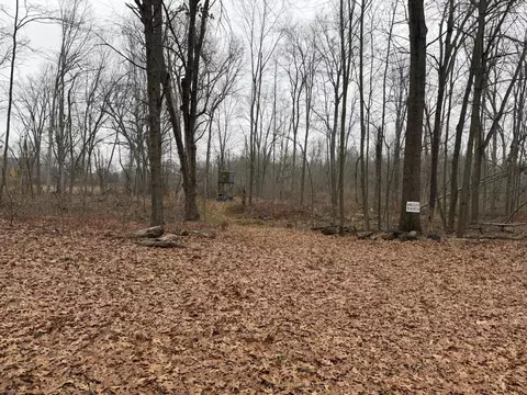 Burtch Road, Grass Lake, MI 49240