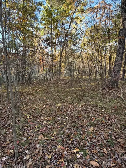 V/L Maple Hill Road #PARCEL A, Howard City, MI 49329