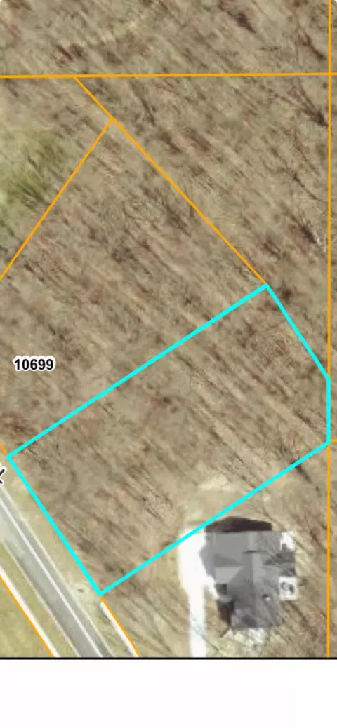 10711 Mystic Heights Trl, Mattawan, MI 49071