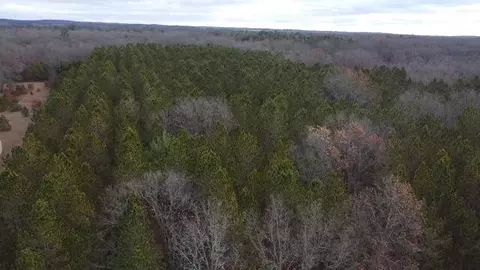 Vl Highbridge Rd, Brethren, MI 49619