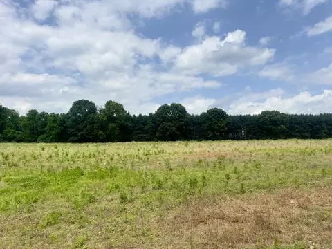 0 Seymour Rd #PARCEL D, Grass Lake, MI 49240