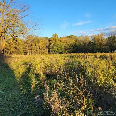 0 Macon Rd, Saline, MI 48176 photo 44