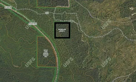 Lp 340 Trail, Baldwin, MI 49304