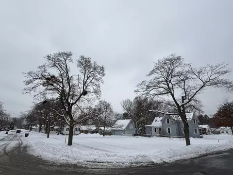308 E River St, Spring Lake, MI 49456 photo 4
