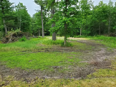 Exterior - 5242 S Forest Dr, Baldwin, MI 49304 photo 6 of 7