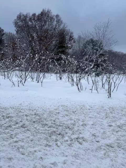 Mason Drive, Newaygo, MI 49337