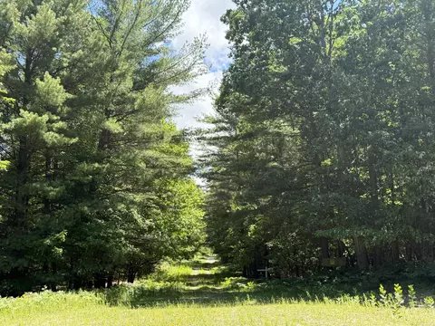3 75 Acres Wayne Rd, Pentwater, MI 49449