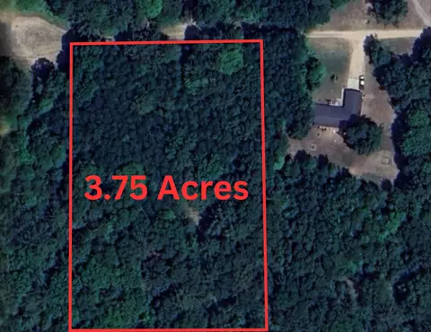 3 75 Acres Wayne Rd, Pentwater, MI 49449