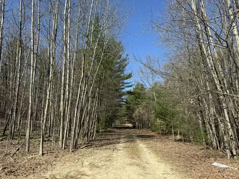 3 75 Acres Wayne Rd, Pentwater, MI 49449