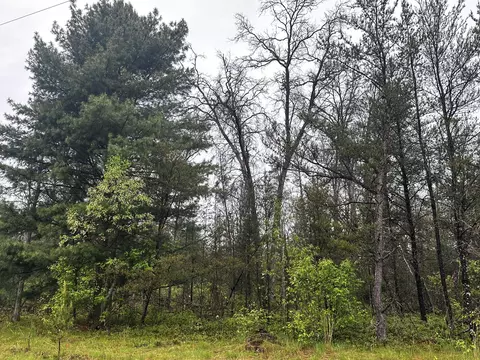 00 E 10 Mile Rd #PARCEL D-1, Irons, MI 49644